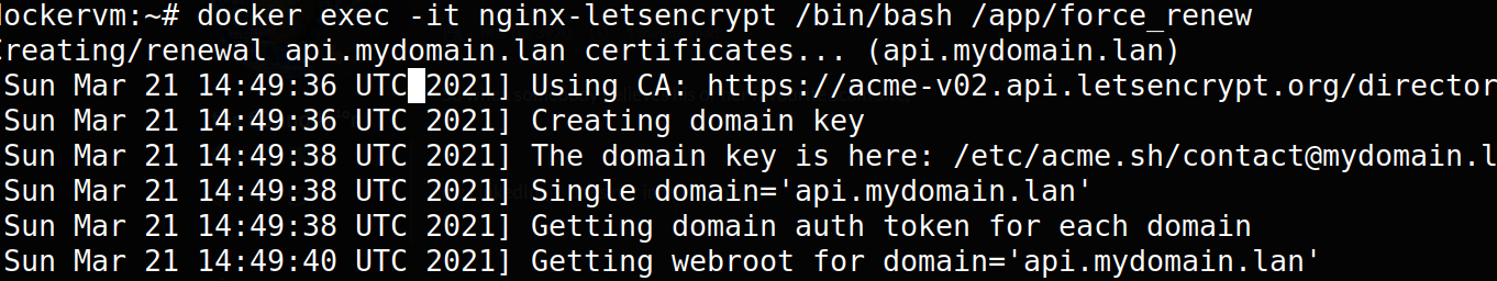 Featured image of post The Google Blackhole: Forced renewal of certificates with nginx-letsencrypt-docker