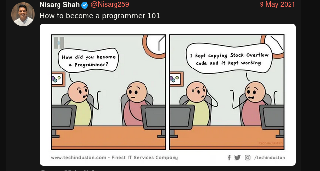 Stack-overflow-fake-programmers image by industan.com 